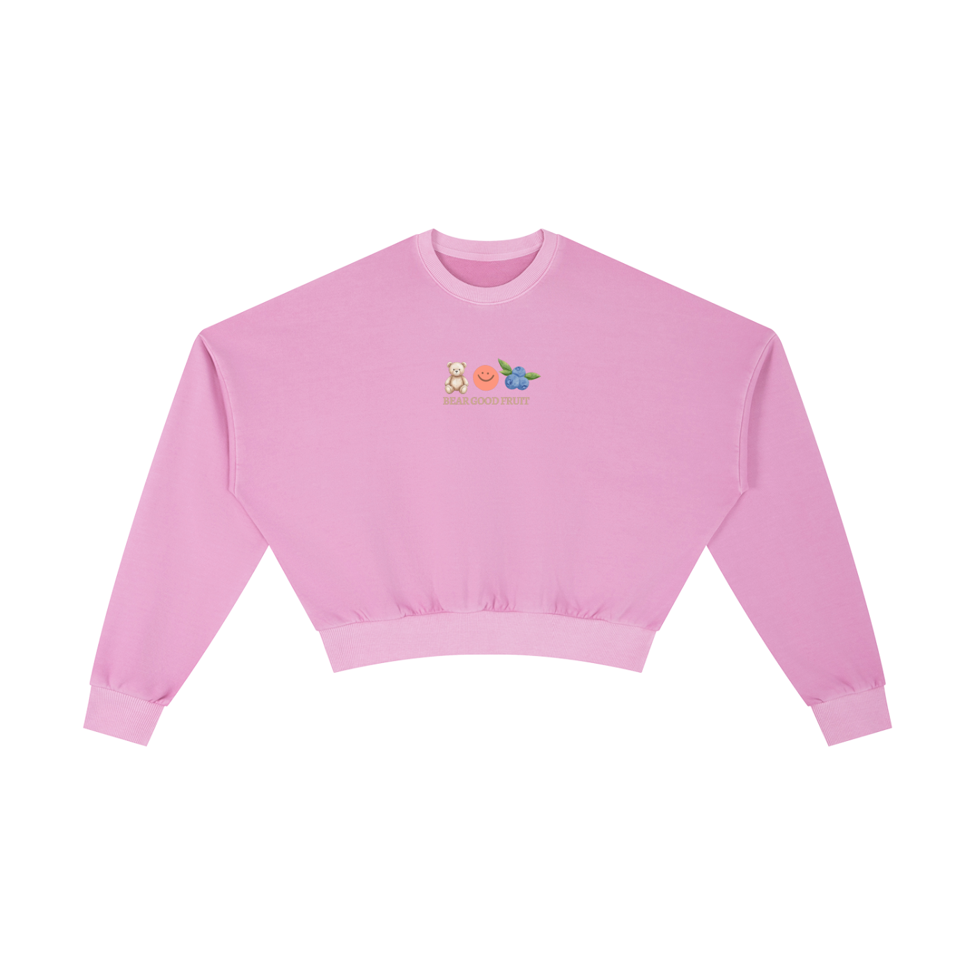 BGF Vintage Washed Cropped Sweatshirt